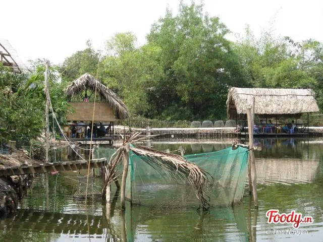 Hồ Câu Cá Lóc Thanh Đa: Địa Điểm Và Kinh Nghiệm Câu Cá Chi Tiết Hồ Câu Cá Lóc Thanh Đa: Địa Điểm Và Kinh Nghiệm Câu Cá Chi Tiết