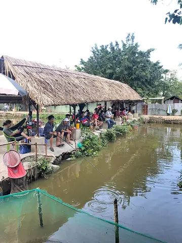 Hồ Câu Cá Rô Đầu Vuông: Trải Nghiệm Câu Cá Không Thể Bỏ Lỡ Hồ Câu Cá Rô Đầu Vuông: Trải Nghiệm Câu Cá Không Thể Bỏ Lỡ
