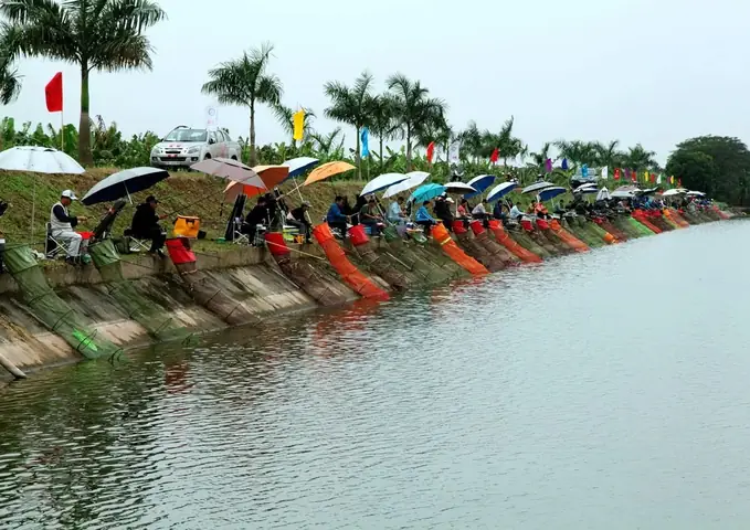 Hồ Câu Tự Nhiên Ở Tp Hcm: Tổng Hợp Địa Điểm Và Thông Tin Cần Biết