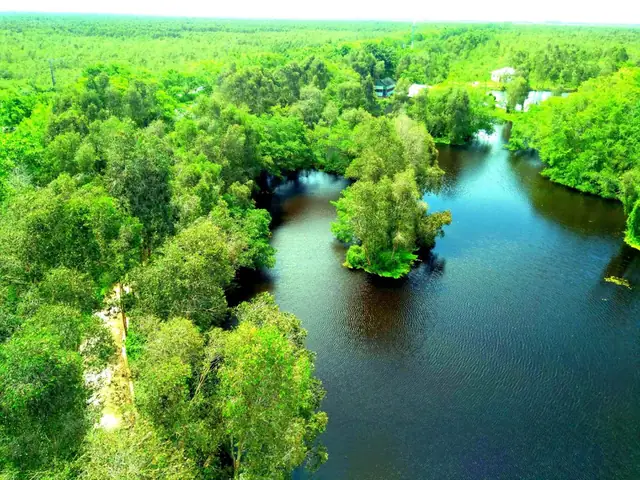 Hồ Hoa Mai U Minh Thượng: Điểm Đến Đáng Nhớ Vào Mùa Hoa Nở