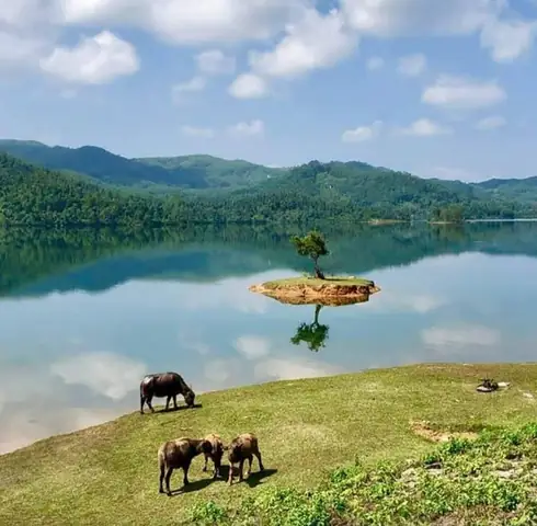 Khám Phá Hồ Nhân Tạo Lớn Nhất Việt Nam Và Những Điểm Du Lịch Nổi Bật Khám Phá Hồ Nhân Tạo Lớn Nhất Việt Nam Và Những Điểm Du Lịch Nổi Bật