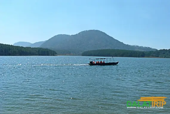 Hồ Tuyền Lâm Đà Lạt: Cẩm Nang Khám Phá Thiên Đường Sống Động Giữa Núi Rừng Hồ Tuyền Lâm Đà Lạt: Cẩm Nang Khám Phá Thiên Đường Sống Động Giữa Núi Rừng