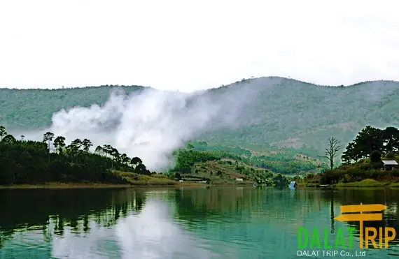 Hồ Tuyền Lâm Đà Lạt: Cẩm Nang Khám Phá Thiên Đường Sống Động Giữa Núi Rừng Hồ Tuyền Lâm Đà Lạt: Cẩm Nang Khám Phá Thiên Đường Sống Động Giữa Núi Rừng