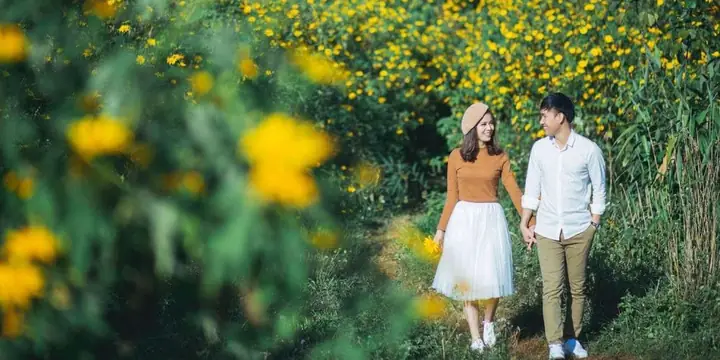 Khi Nào Mùa Hoa Dã Quỳ Nở Rộ? Hướng Dẫn Cho Du Khách