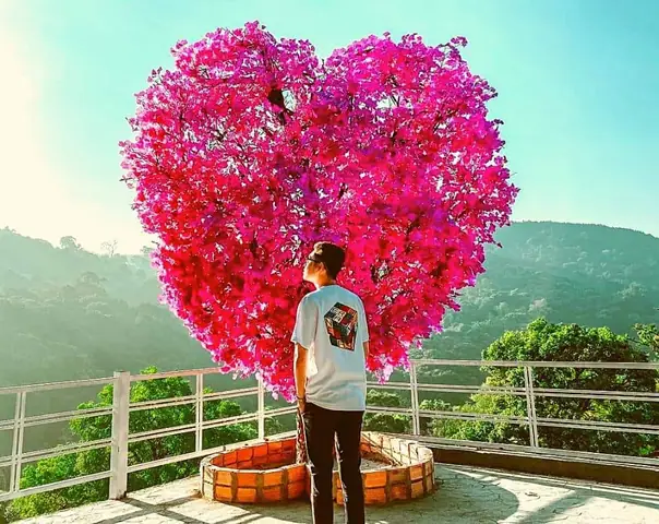 Hoa Sơn Điền Trang Đà Lạt: Đánh Giá Toàn Diện Từ Trải Nghiệm Thực Tế Hoa Sơn Điền Trang Đà Lạt: Đánh Giá Toàn Diện Từ Trải Nghiệm Thực Tế