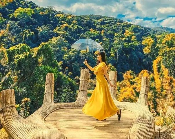 Hoa Sơn Điền Trang Đà Lạt: Đánh Giá Toàn Diện Từ Trải Nghiệm Thực Tế Hoa Sơn Điền Trang Đà Lạt: Đánh Giá Toàn Diện Từ Trải Nghiệm Thực Tế