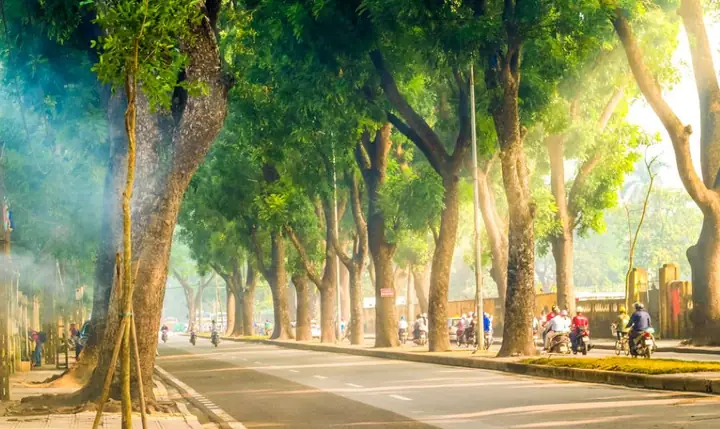Đường Hoàng Diệu Ba Đình Hà Nội: Review Chi Tiết Điểm Đến Lịch Sử