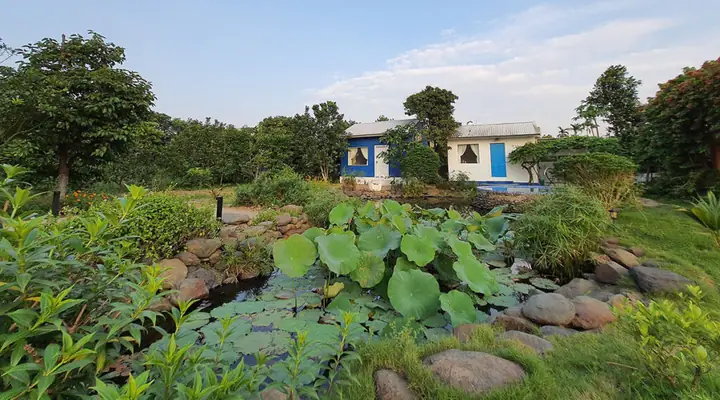 Khám Phá Homestay Ba Vì Cho 2 Người: Top Lựa Chọn Lý Tưởng Khám Phá Homestay Ba Vì Cho 2 Người: Top Lựa Chọn Lý Tưởng