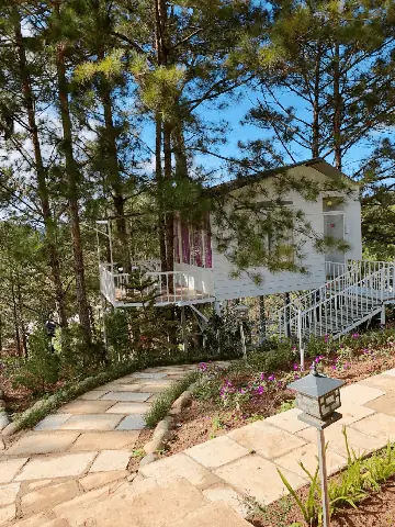 Khám Phá 10 Homestay View Rừng Thông Đà Lạt Đẹp Nhất Khám Phá 10 Homestay View Rừng Thông Đà Lạt Đẹp Nhất