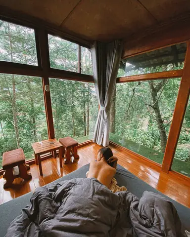 Khám Phá 10 Homestay View Rừng Thông Đà Lạt Đẹp Nhất Khám Phá 10 Homestay View Rừng Thông Đà Lạt Đẹp Nhất