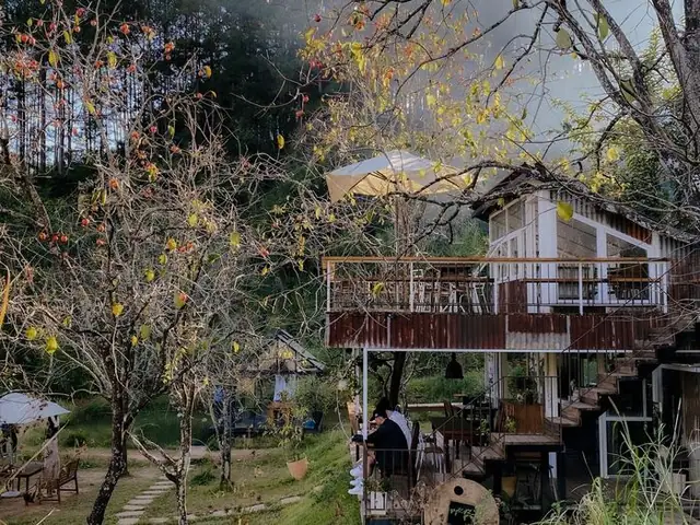 Khám Phá 10 Homestay View Rừng Thông Đà Lạt Đẹp Nhất Khám Phá 10 Homestay View Rừng Thông Đà Lạt Đẹp Nhất