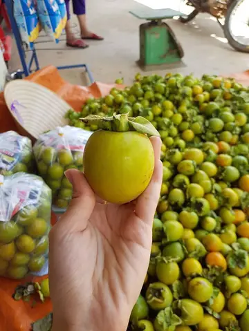 Hồng Giòn Được Trồng Ở Đâu? Khám Phá Vùng Sản Xuất Nổi Tiếng Nhất Hồng Giòn Được Trồng Ở Đâu? Khám Phá Vùng Sản Xuất Nổi Tiếng Nhất