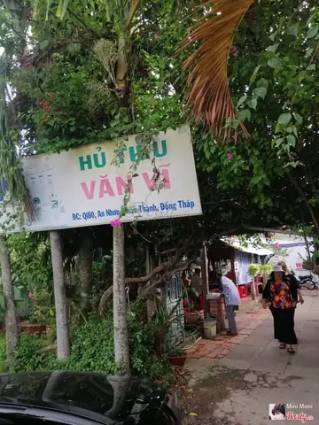 Top 5 Quán Hủ Tiếu Văn Vĩ Sa Đéc Ngon Nhất: Đánh Giá Chi Tiết Từ Người Dân Địa Phương