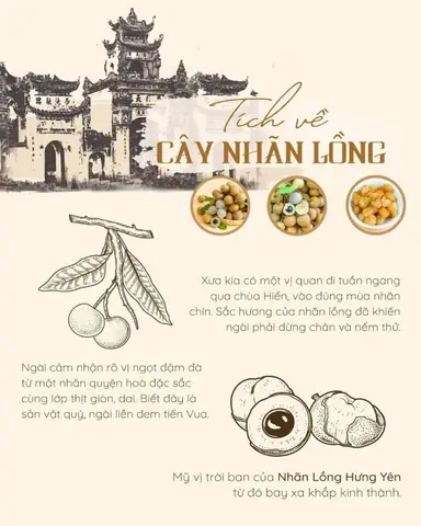 Hưng Yên Có Đặc Sản Gì? Bỏ Túi 15 Món Ngon "đáng Đồng Tiền" Phải Thử