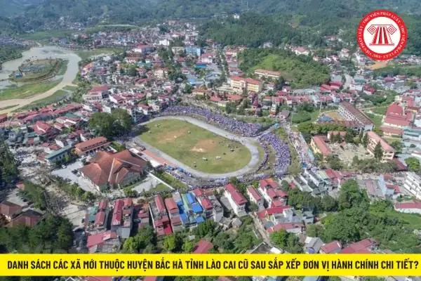 Huyện Bắc Hà Lào Cai: Cẩm Nang Du Lịch Toàn Diện 2026 Huyện Bắc Hà Lào Cai: Cẩm Nang Du Lịch Toàn Diện 2026
