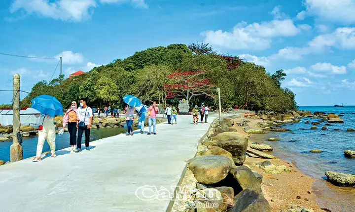 Huyện Trần Văn Thời, Cà Mau: Cẩm Nang Du Lịch Và Đời Sống