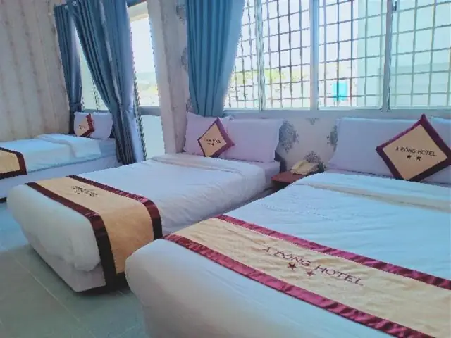 Khám Phá Khách Sạn Á Đông Đà Lạt: Tiện Nghi, Đánh Giá, Ưu Đãi