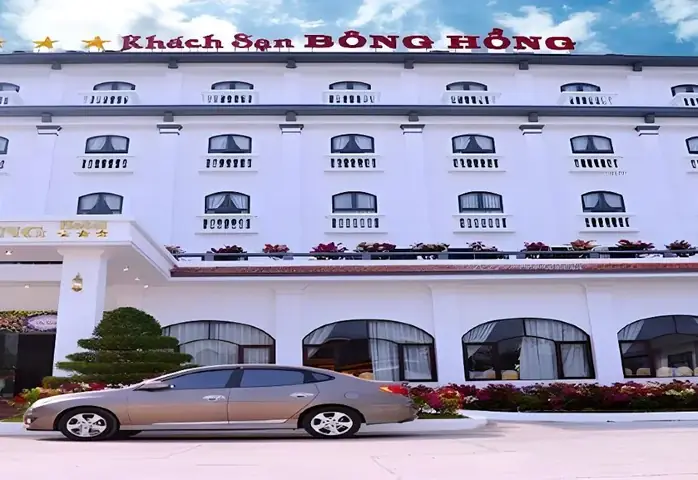 Đánh Giá Khách Sạn Bông Hồng: Tiện Nghi, Vị Trí & Giá