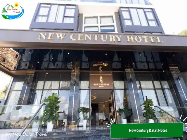 Top 12 Khách Sạn Đường Đống Đa Đà Lạt Tốt Nhất Top 12 Khách Sạn Đường Đống Đa Đà Lạt Tốt Nhất