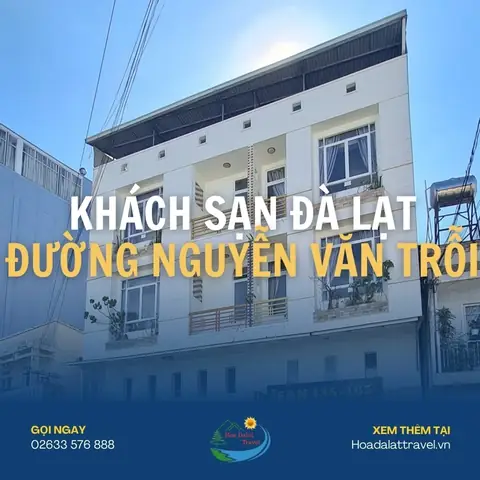 Top 5 Khách Sạn Đường Nguyễn Văn Trỗi Đà Lạt Nên Thử