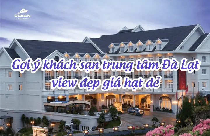 Khách Sạn Trung Tâm Đà Lạt: Cẩm Nang Lựa Chọn Và Trải Nghiệm