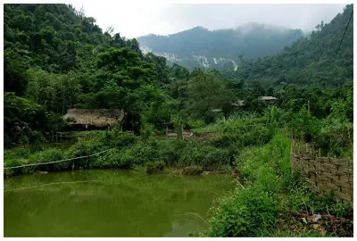 Khai Thác Đá Quý Lục Yên: Từ Mỏ Đến Chợ Đá Nổi Tiếng