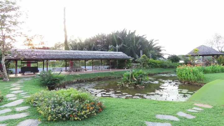 Khám Phá Khu Du Lịch Bình Quới 2: Điểm Đến Vui Chơi, Giải Trí Bên Sông