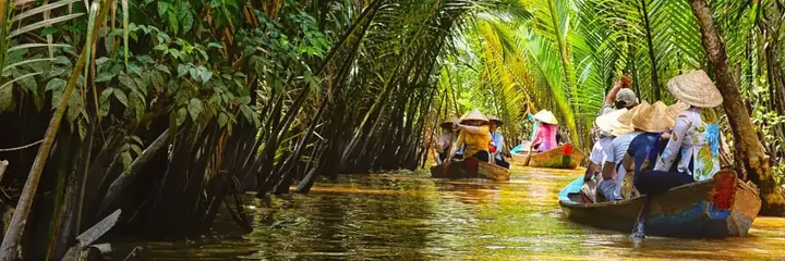 Hướng Dẫn Du Lịch Cồn Thới Sơn: Lịch Trình, Chi Phí & Hoạt Động Sinh Thái