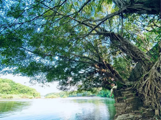 Khám Phá Khu Du Lịch Sinh Thái Hàn Tam Đẳng: Hướng Dẫn Du Khách Khám Phá Khu Du Lịch Sinh Thái Hàn Tam Đẳng: Hướng Dẫn Du Khách