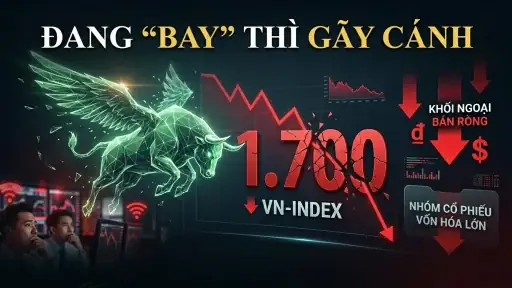 Khu Du Lịch Hồ Hòa Bình Toàn Tập: Khám Phá Vịnh Hạ Long Trên Cạn