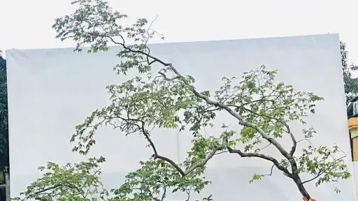 Khu Du Lịch Hồ Hòa Bình Toàn Tập: Khám Phá Vịnh Hạ Long Trên Cạn