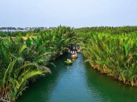 Rừng Dừa Bảy Mẫu Hội An: Hướng Dẫn Trải Nghiệm Sông Nước Đậm Chất Miền Tây Rừng Dừa Bảy Mẫu Hội An: Hướng Dẫn Trải Nghiệm Sông Nước Đậm Chất Miền Tây