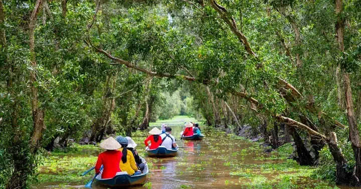 Khám Phá Rừng Tràm Trà Sư: Kinh Nghiệm Du Lịch Khám Phá Rừng Tràm Trà Sư: Kinh Nghiệm Du Lịch