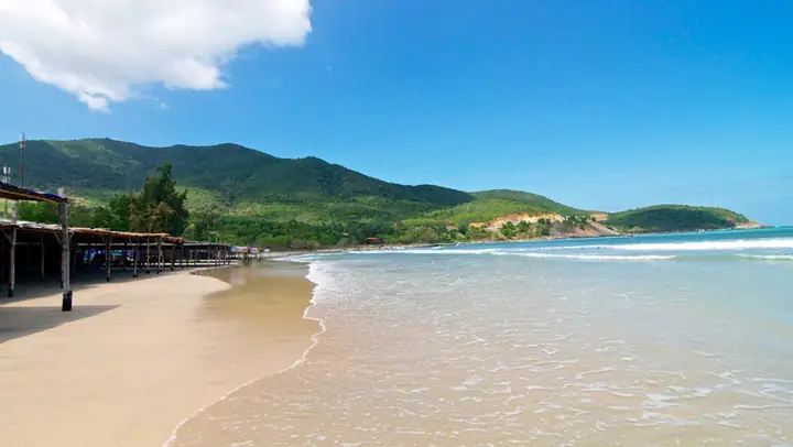 Đánh Giá Khu Du Lịch Sealife Bãi Dài Nha Trang: Trải Nghiệm Thực Tế Và Chi Phí Đánh Giá Khu Du Lịch Sealife Bãi Dài Nha Trang: Trải Nghiệm Thực Tế Và Chi Phí