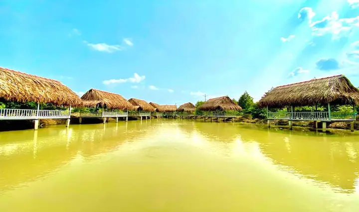 Khu Du Lịch Sinh Thái Đồng Xanh: Hướng Dẫn Chi Tiết Khám Phá Và Trải Nghiệm
