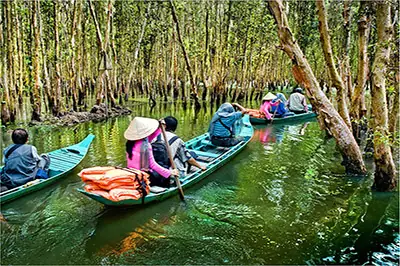 Khu Du Lịch Sinh Thái Gáo Giồng: Điểm Đến Xanh Trái Tim Đồng Bằng