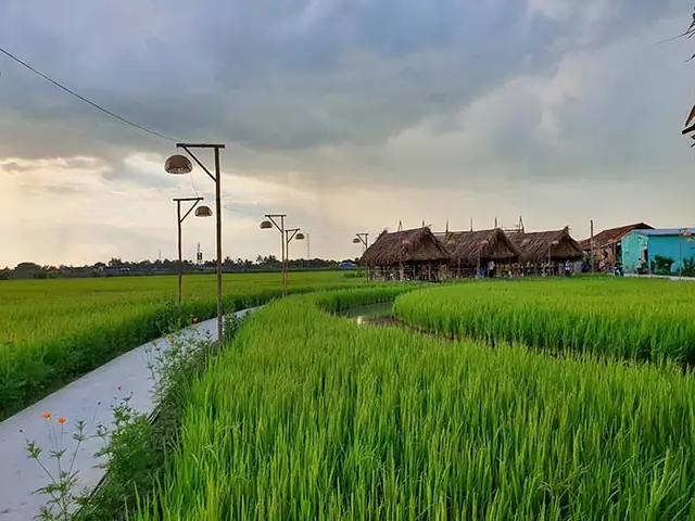 Cẩm Nang Khám Phá Khu Du Lịch Sinh Thái Long An Toàn Diện