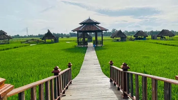 Cẩm Nang Khám Phá Khu Du Lịch Sinh Thái Long An Toàn Diện