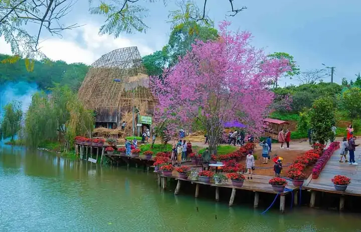 Khu Du Lịch Sinh Thái Măng Đen: Khám Phá Hệ Sinh Thái Rừng Ngập Mặn Độc Đáo Khu Du Lịch Sinh Thái Măng Đen: Khám Phá Hệ Sinh Thái Rừng Ngập Mặn Độc Đáo