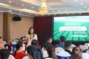 Đánh Giá Chi Tiết Khu Du Lịch Sinh Thái Thái Hải: Trải Nghiệm Văn Hóa & Thiên Nhiên Độc Bản Ở Thái Nguyên