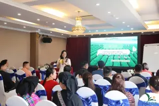 Đánh Giá Chi Tiết Khu Du Lịch Sinh Thái Thái Hải: Trải Nghiệm Văn Hóa & Thiên Nhiên Độc Bản Ở Thái Nguyên