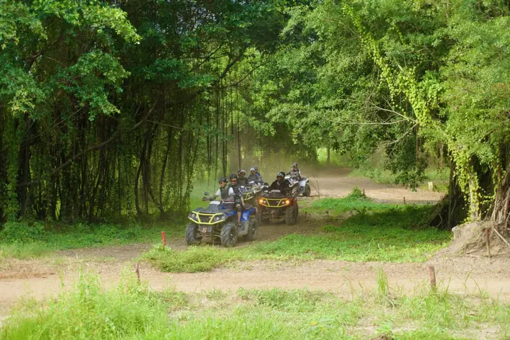 Khu Du Lịch Sơn Tiên Đồng Nai: Cẩm Nang Toàn Tập Khu Du Lịch Sơn Tiên Đồng Nai: Cẩm Nang Toàn Tập