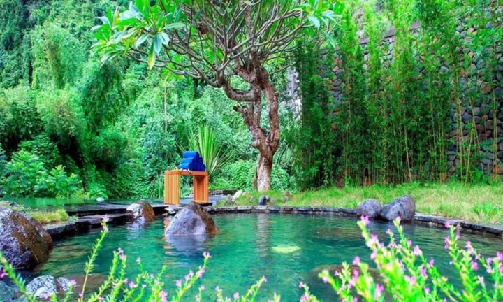 Cẩm Nang Trải Nghiệm Toàn Diện Khu Du Lịch Suối Khoáng Kim Bôi