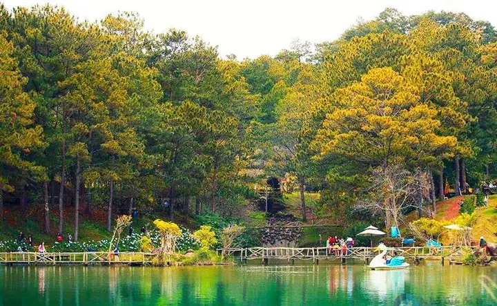 Khám Phá Thông Tin Chi Tiết Về Khu Du Lịch Sinh Thái Thung Lũng Vàng Đà Lạt Khám Phá Thông Tin Chi Tiết Về Khu Du Lịch Sinh Thái Thung Lũng Vàng Đà Lạt