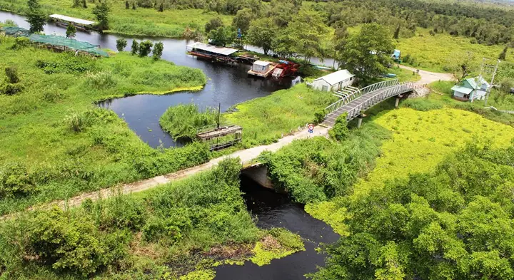 Cẩm Nang Du Lịch U Minh Thượng: Khám Phá Thiên Nhiên Sinh Thái Độc Nhất