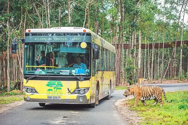Đánh Giá Chi Tiết Khu Du Lịch Vinpearl Phú Quốc: Grand World, Vinwonders & Safari Đánh Giá Chi Tiết Khu Du Lịch Vinpearl Phú Quốc: Grand World, Vinwonders & Safari