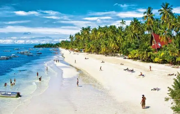 Cẩm Nang Du Lịch Bohol Philippines Tự Túc: Trải Nghiệm Đảo Ngọc Trung Tâm Philippines Cẩm Nang Du Lịch Bohol Philippines Tự Túc: Trải Nghiệm Đảo Ngọc Trung Tâm Philippines