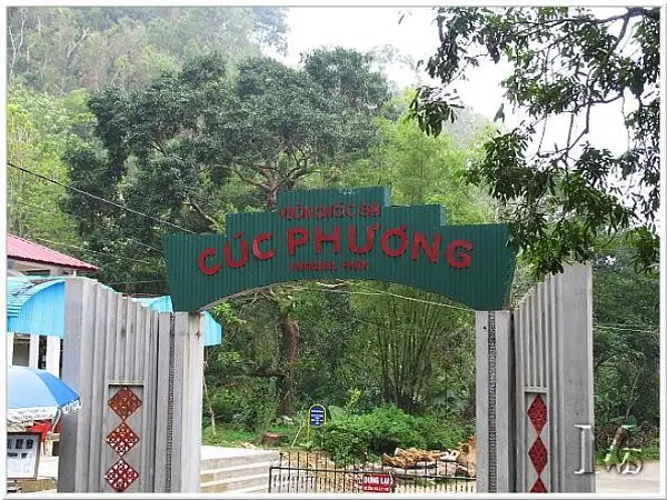 Kinh Nghiệm Đi Rừng Cúc Phương: Cẩm Nang Khám Phá Vườn Quốc Gia Nổi Tiếng