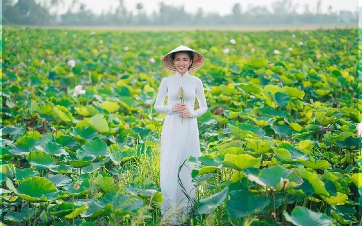 Kinh Nghiệm Du Lịch Đồng Tháp Toàn Diện: Từ A Đến Z Cho Chuyến Đi Hoàn Hảo