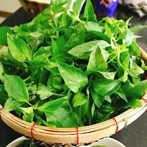 Lá É Mua Ở Đâu Hà Nội? Đánh Giá 7 Địa Chỉ Vàng & Bí Quyết Chọn Lá É Chuẩn Vị